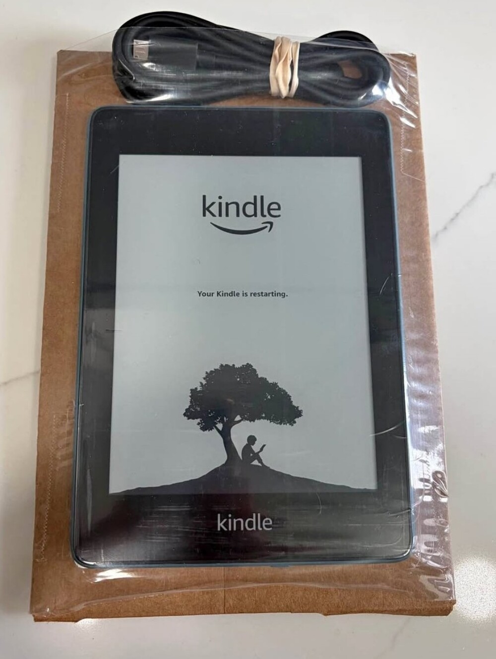 New Amazon Paperwhite Kindle 10th Generation 6gb, blue, and comes with charger